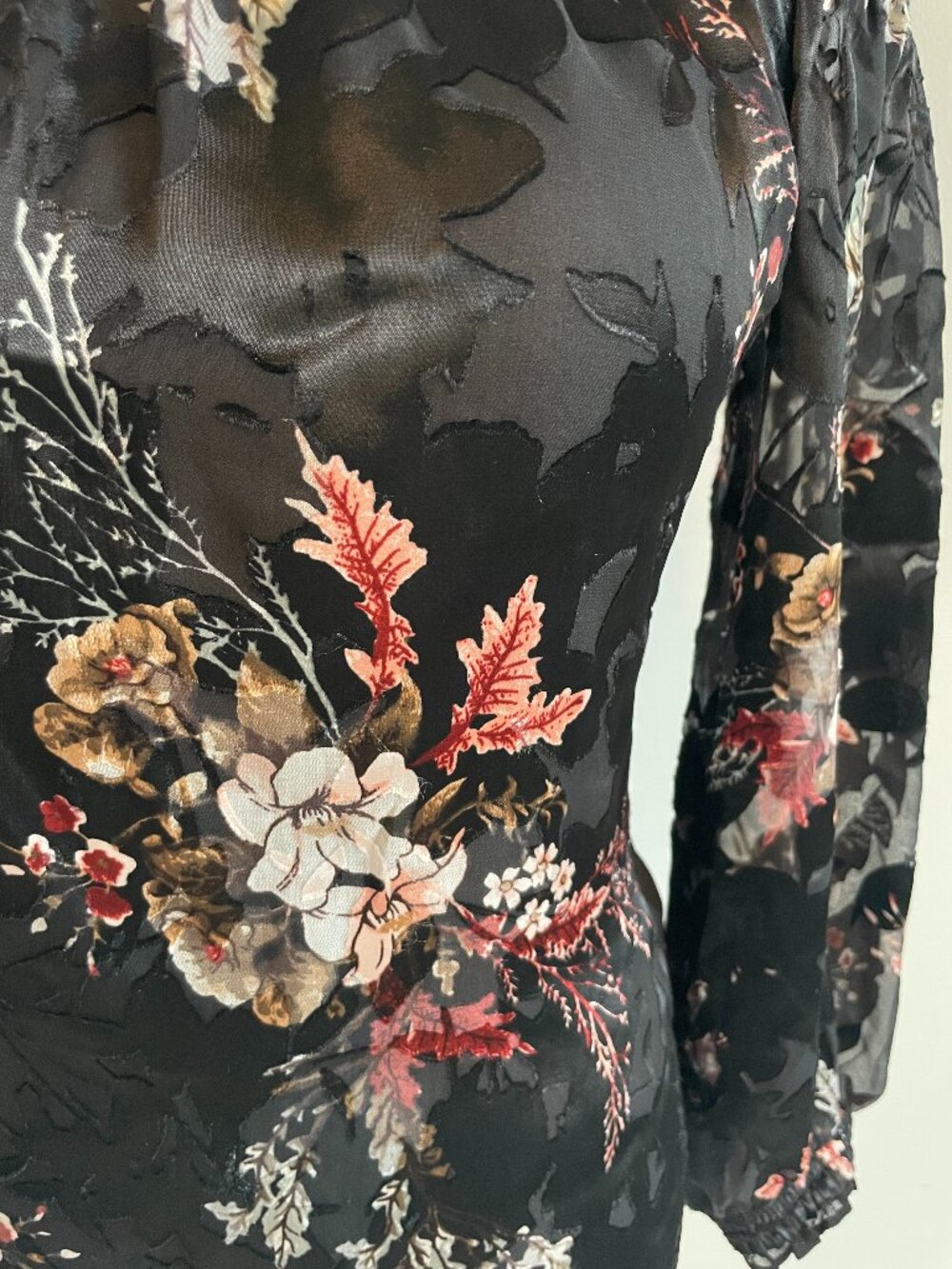 WHBM Gothic Romantic Velvet Burnout Off-Shoulder Long-Sleeve Sheer Floral Top - Picture 2 of 13